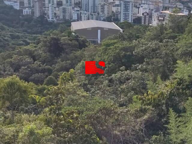 Apartamento para Venda em Belo Horizonte - 5