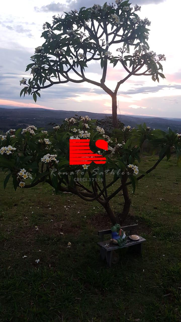 Sítio à venda com 3 quartos, 500m² - Foto 18