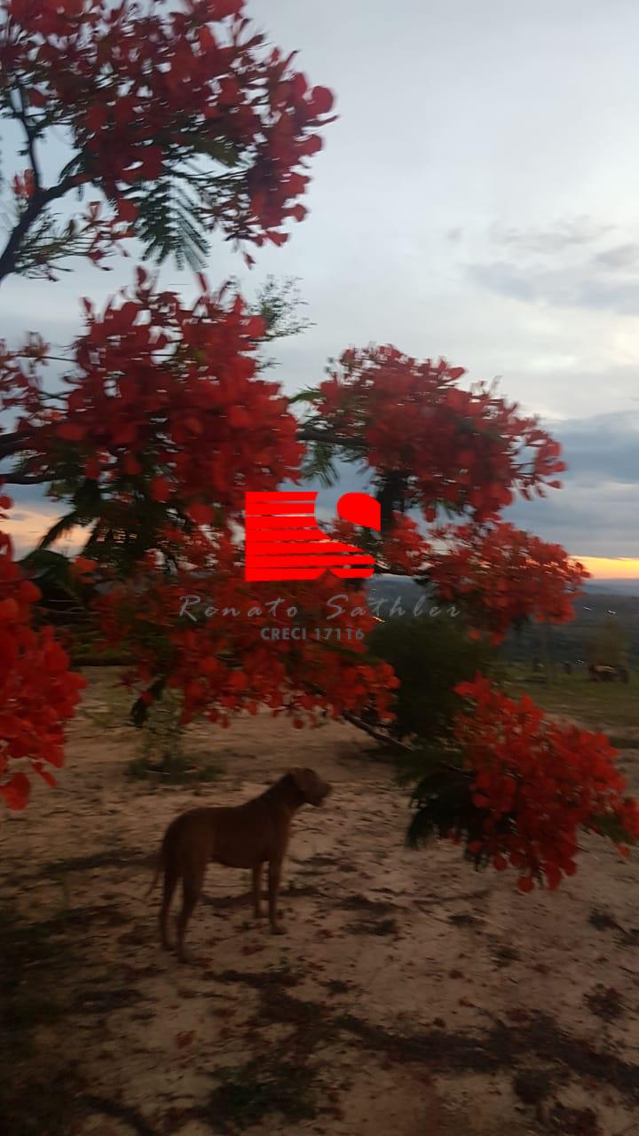 Sítio à venda com 3 quartos, 500m² - Foto 15